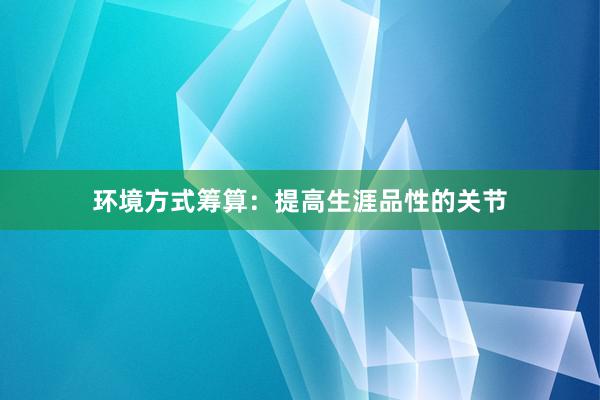 环境方式筹算：提高生涯品性的关节