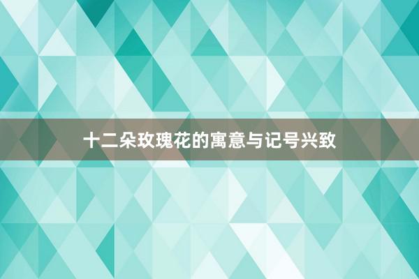 十二朵玫瑰花的寓意与记号兴致