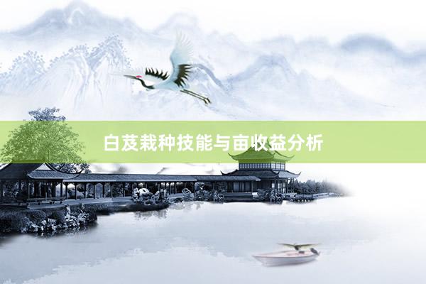 白芨栽种技能与亩收益分析