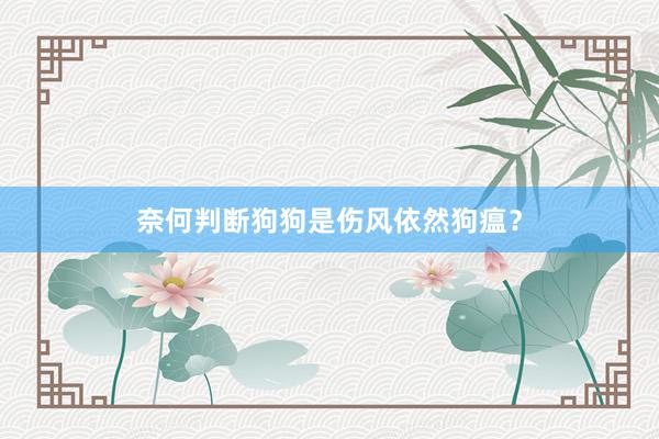 奈何判断狗狗是伤风依然狗瘟？