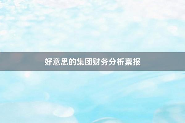 好意思的集团财务分析禀报